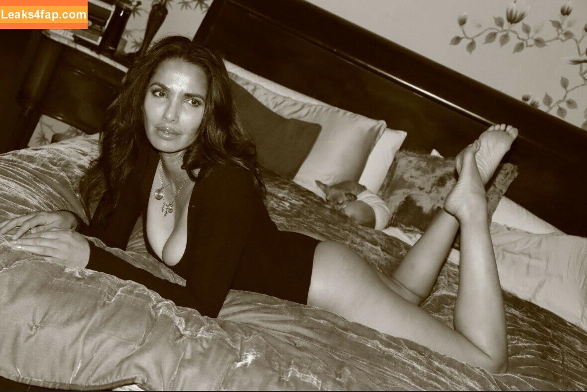 Padma Lakshmi / PadmaLakshmi слитое фото фото #0315