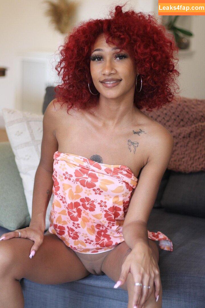 Paisley Fernandez / Waizley leaked photo photo #0033