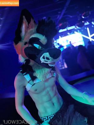 palacewolf photo #0009