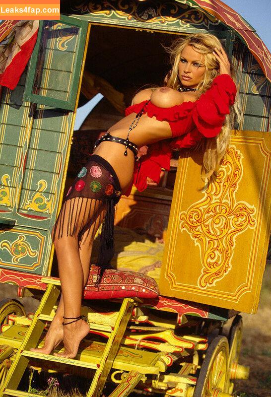Pamela Anderson / pamelaanderson leaked photo photo #0016