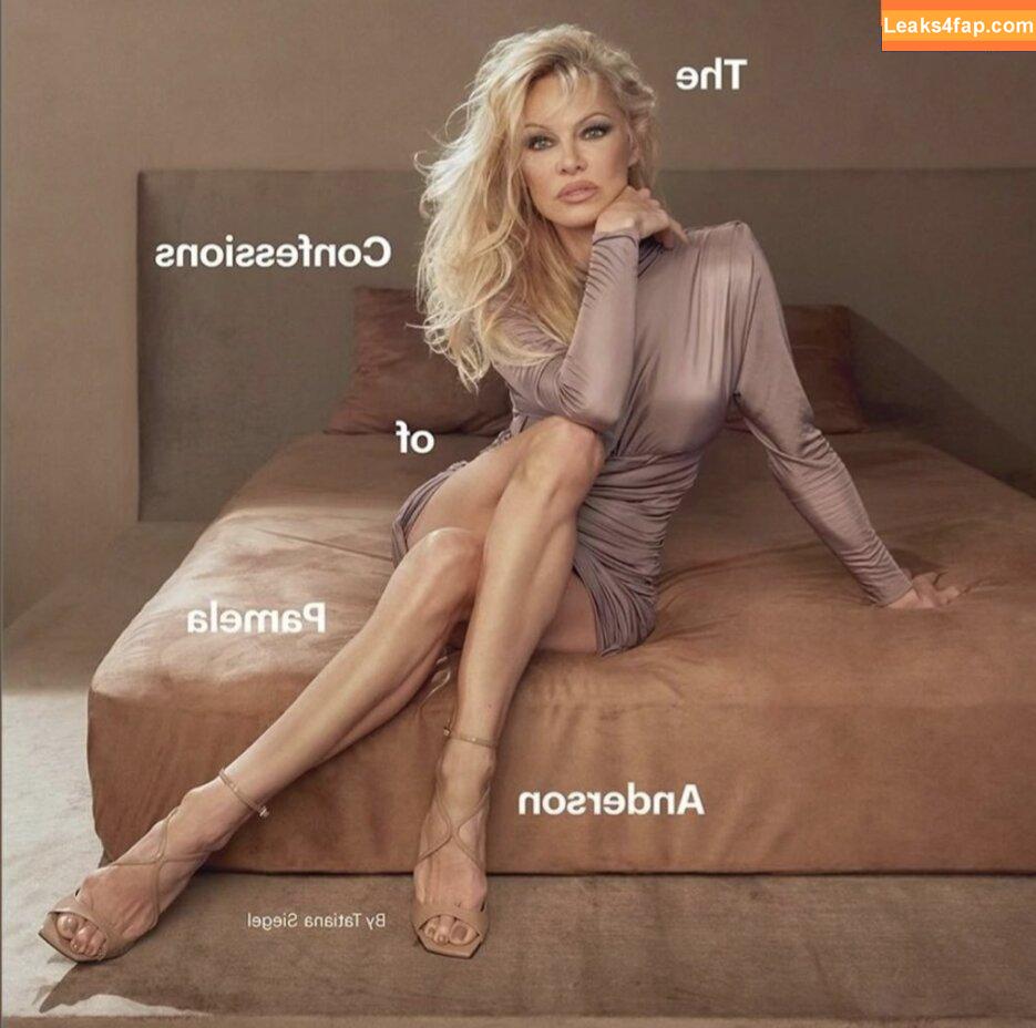 Pamela Anderson / pamelaanderson leaked photo photo #0057