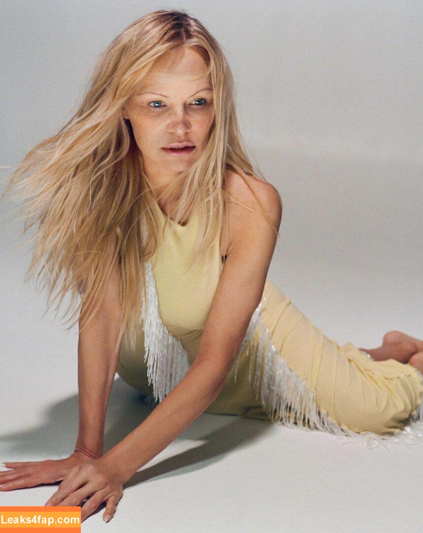 Pamela Anderson / pamelaanderson leaked photo photo #0077