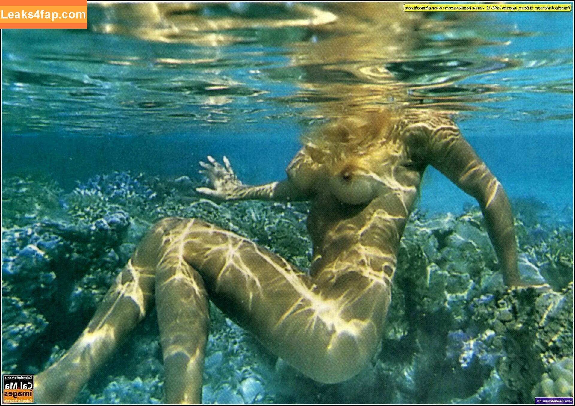 Pamela Anderson / pamelaanderson leaked photo photo #0090