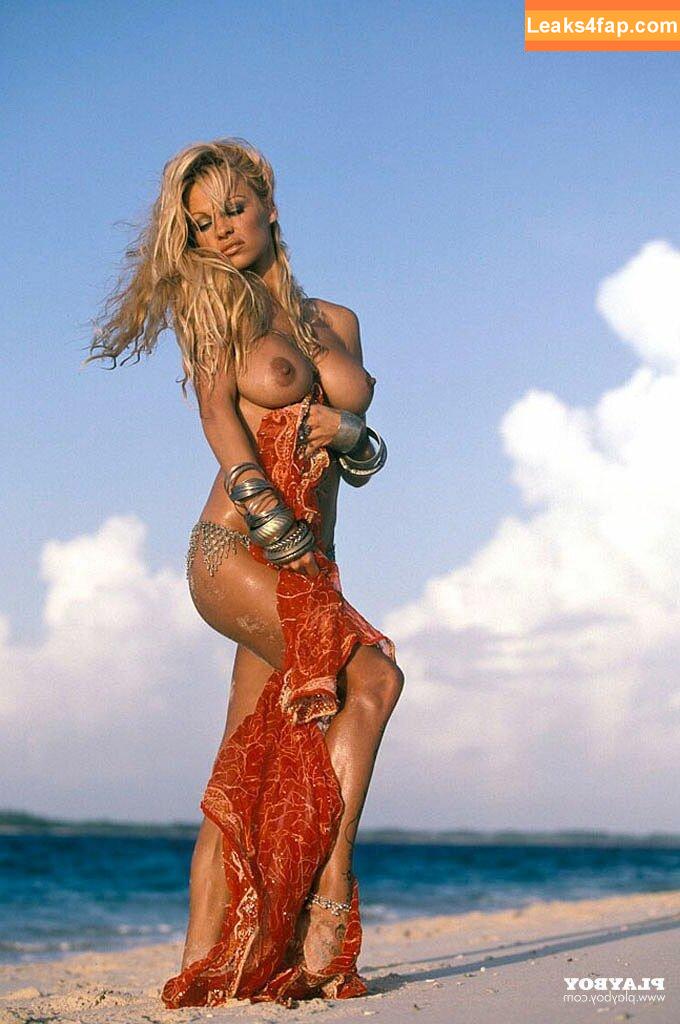 Pamela Anderson / pamelaanderson leaked photo photo #0171