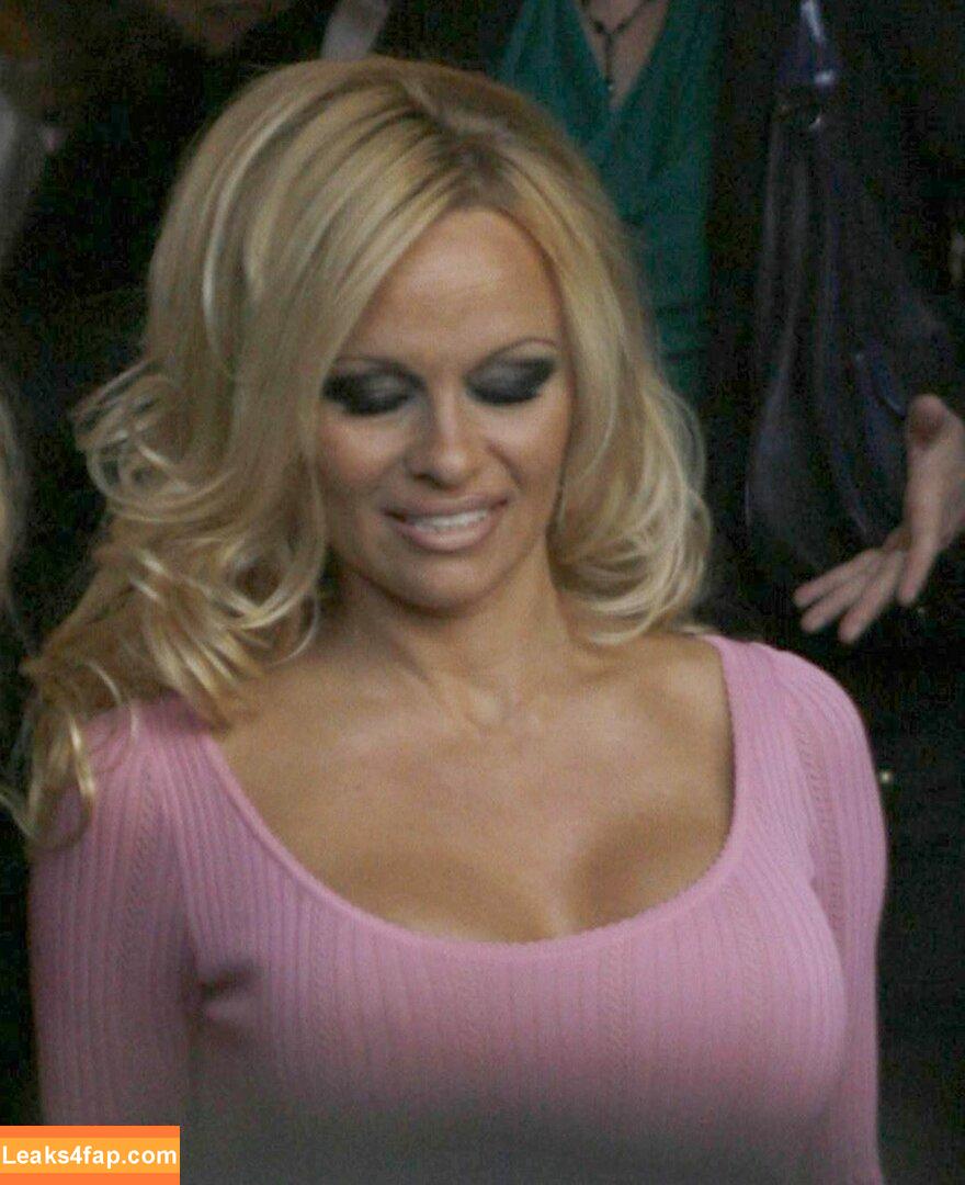 Pamela Anderson / pamelaanderson leaked photo photo #0243
