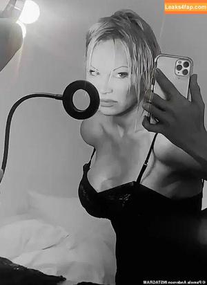 Pamela Anderson photo #0042