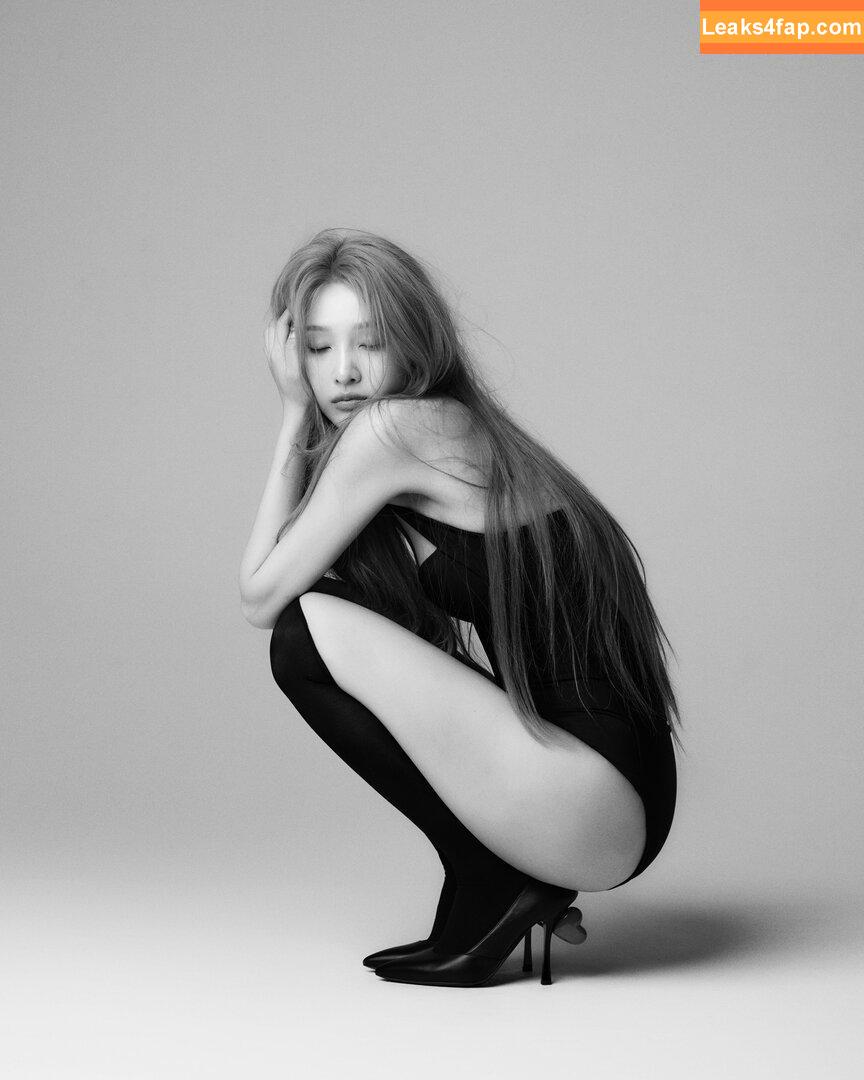 Park Soo-young / _imyour_joy leaked photo photo #0084