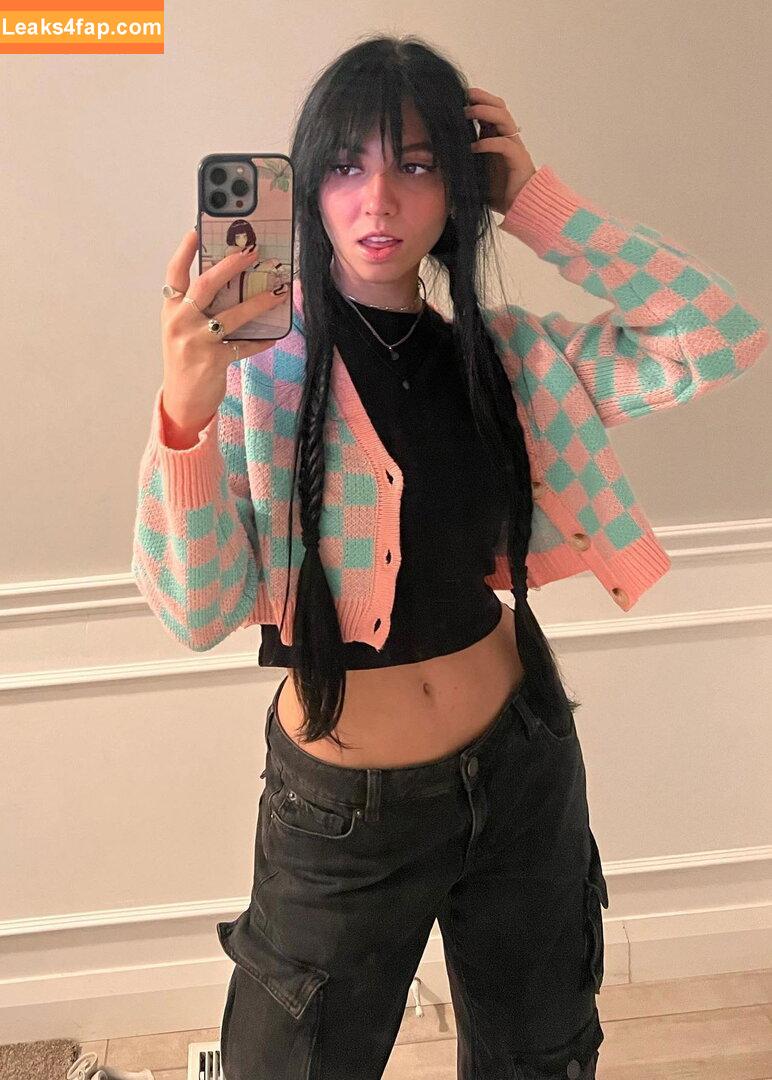 Parken Harbor /  leaked photo photo #0005