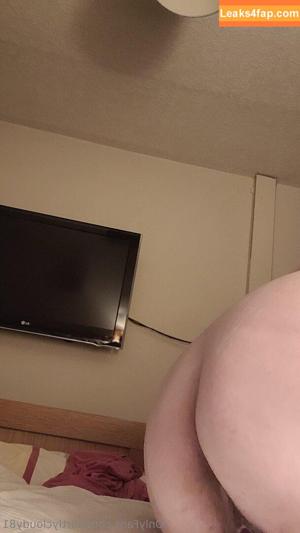 partlycloudy81 / partlycloudy718 leaked photo photo #0040