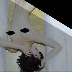 PartyCat фото #0010