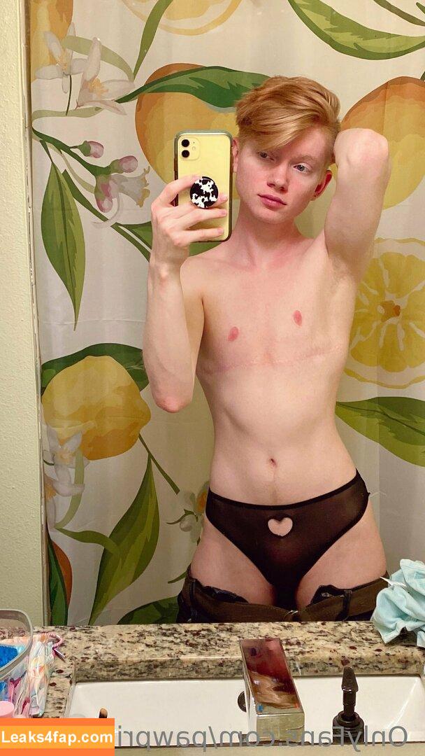 Pawprintprince / Luca Adler / Peachyypups / pawprinceph leaked photo photo #0035