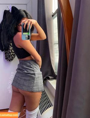 Payluciarae photo #0024