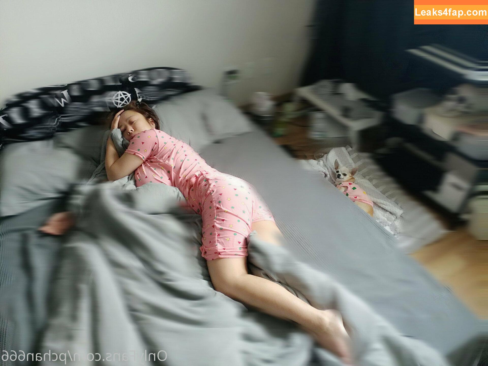 Pchan666 / P-chan / pchan030 leaked photo photo #0021