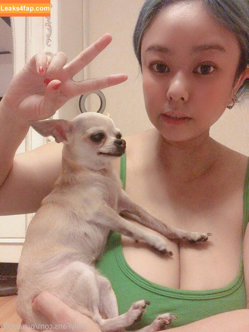 Pchan666 / P-chan / pchan030 leaked photo photo #0057