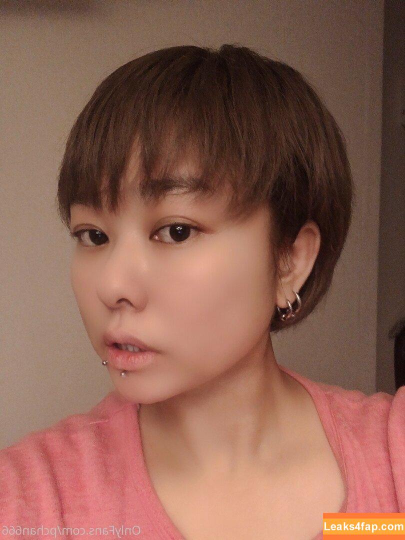 Pchan666 / P-chan / pchan030 leaked photo photo #0066
