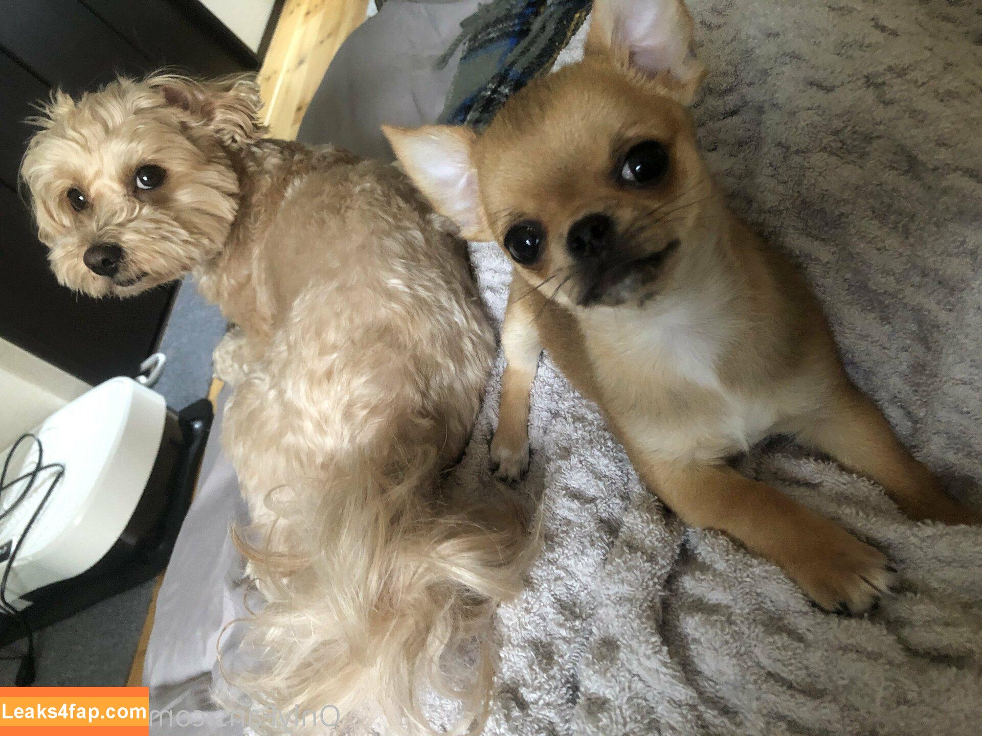 Pchan666 / P-chan / pchan030 leaked photo photo #0074