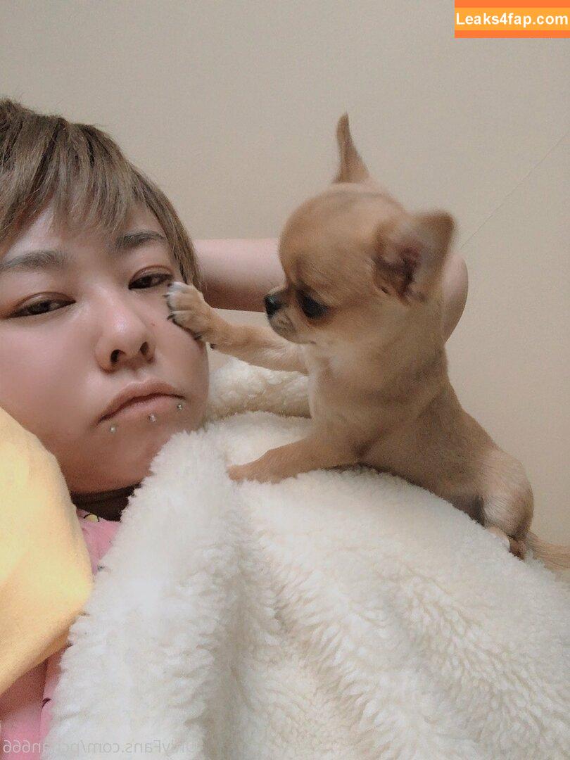 Pchan666 / P-chan / pchan030 leaked photo photo #0078