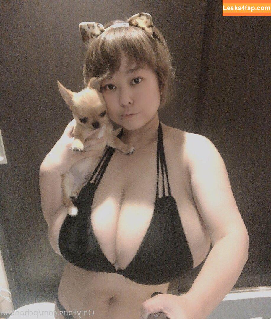 Pchan666 / P-chan / pchan030 leaked photo photo #0079