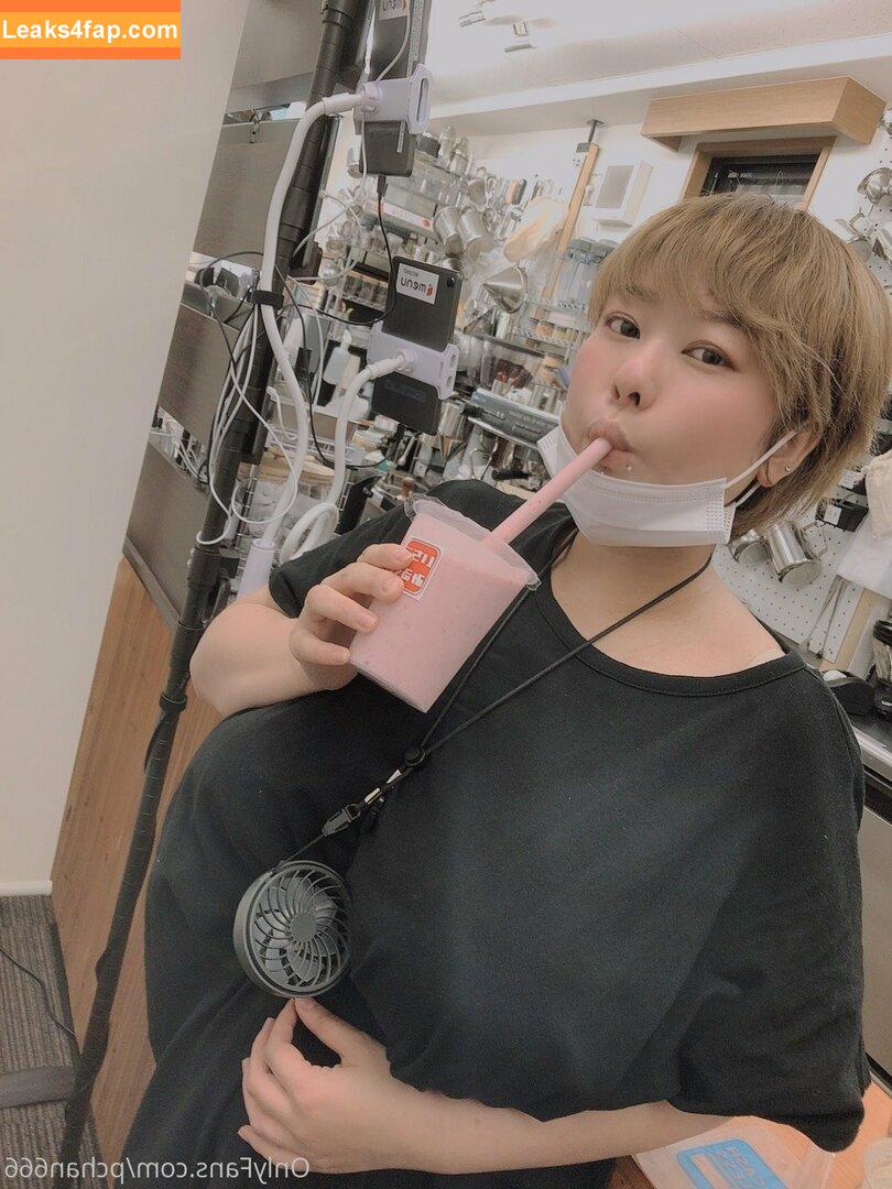 Pchan666 / P-chan / pchan030 leaked photo photo #0085