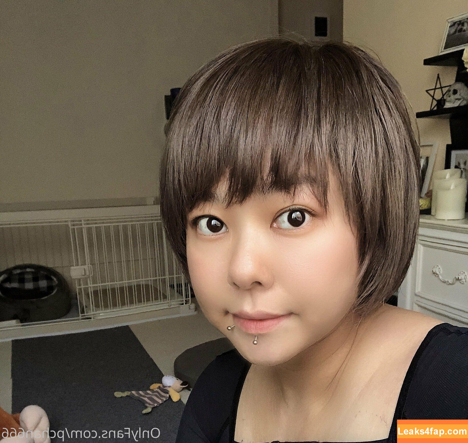 Pchan666 / P-chan / pchan030 leaked photo photo #0096
