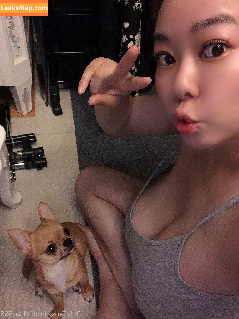 Pchan666 / P-chan / pchan030 leaked photo photo #0102