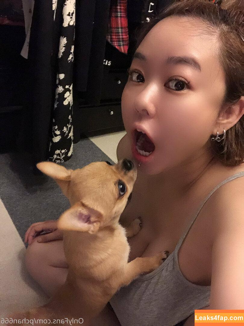 Pchan666 / P-chan / pchan030 leaked photo photo #0103