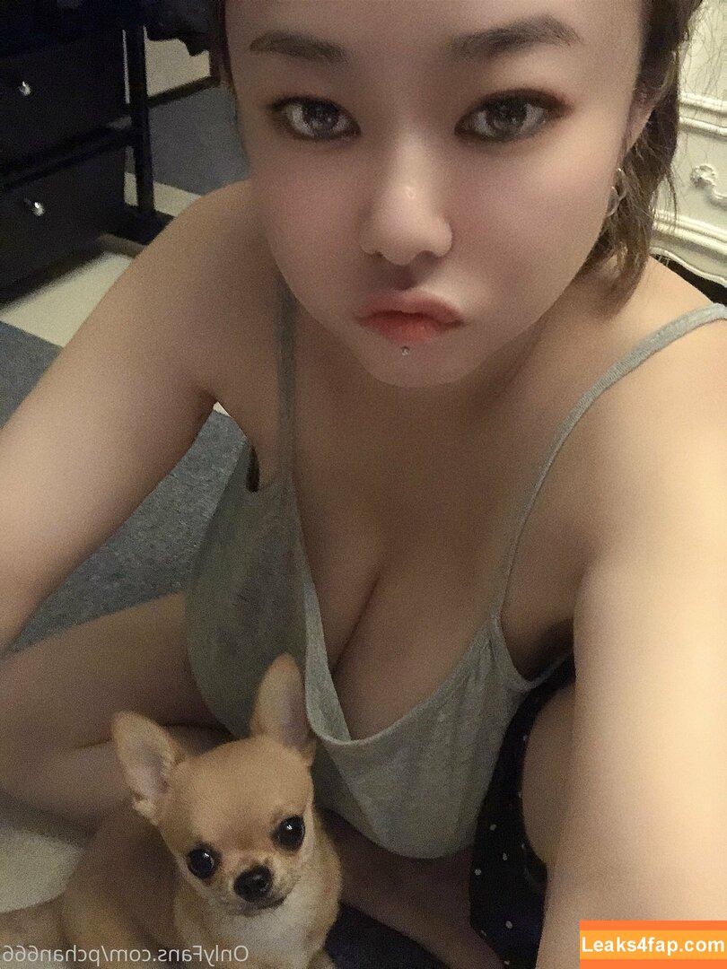Pchan666 / P-chan / pchan030 leaked photo photo #0104