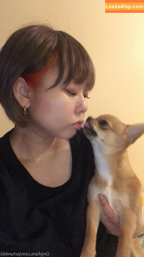 Pchan666 / P-chan / pchan030 leaked photo photo #0110