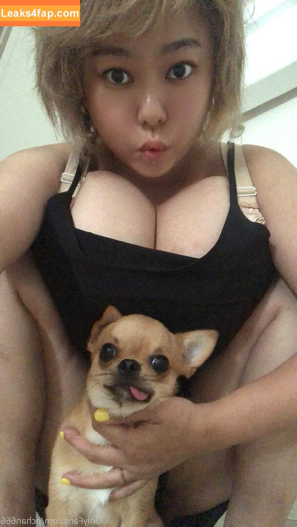 Pchan666 / P-chan / pchan030 leaked photo photo #0127