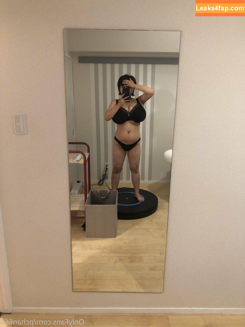 Pchan666 / P-chan / pchan030 leaked photo photo #0134