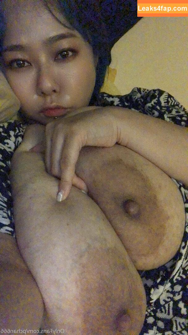 Pchan666 / P-chan / pchan030 leaked photo photo #0152