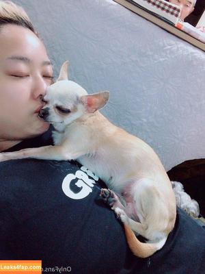 Pchan666 photo #0059