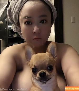 Pchan666 photo #0105