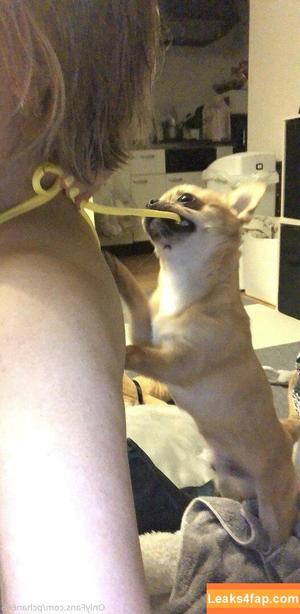 Pchan666 photo #0115