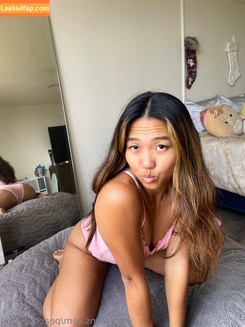 peachypenny / peachandpenny leaked photo photo #0054