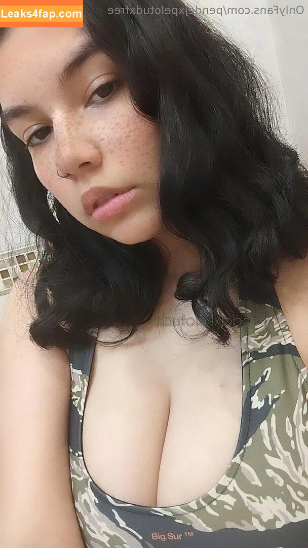 pendejxpelotudxfree /  leaked photo photo #0002