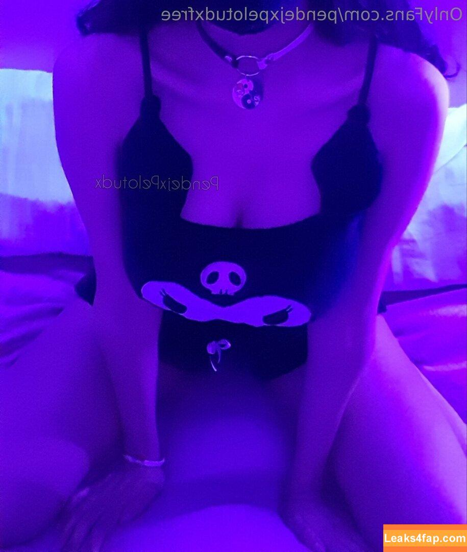 pendejxpelotudxfree /  leaked photo photo #0008