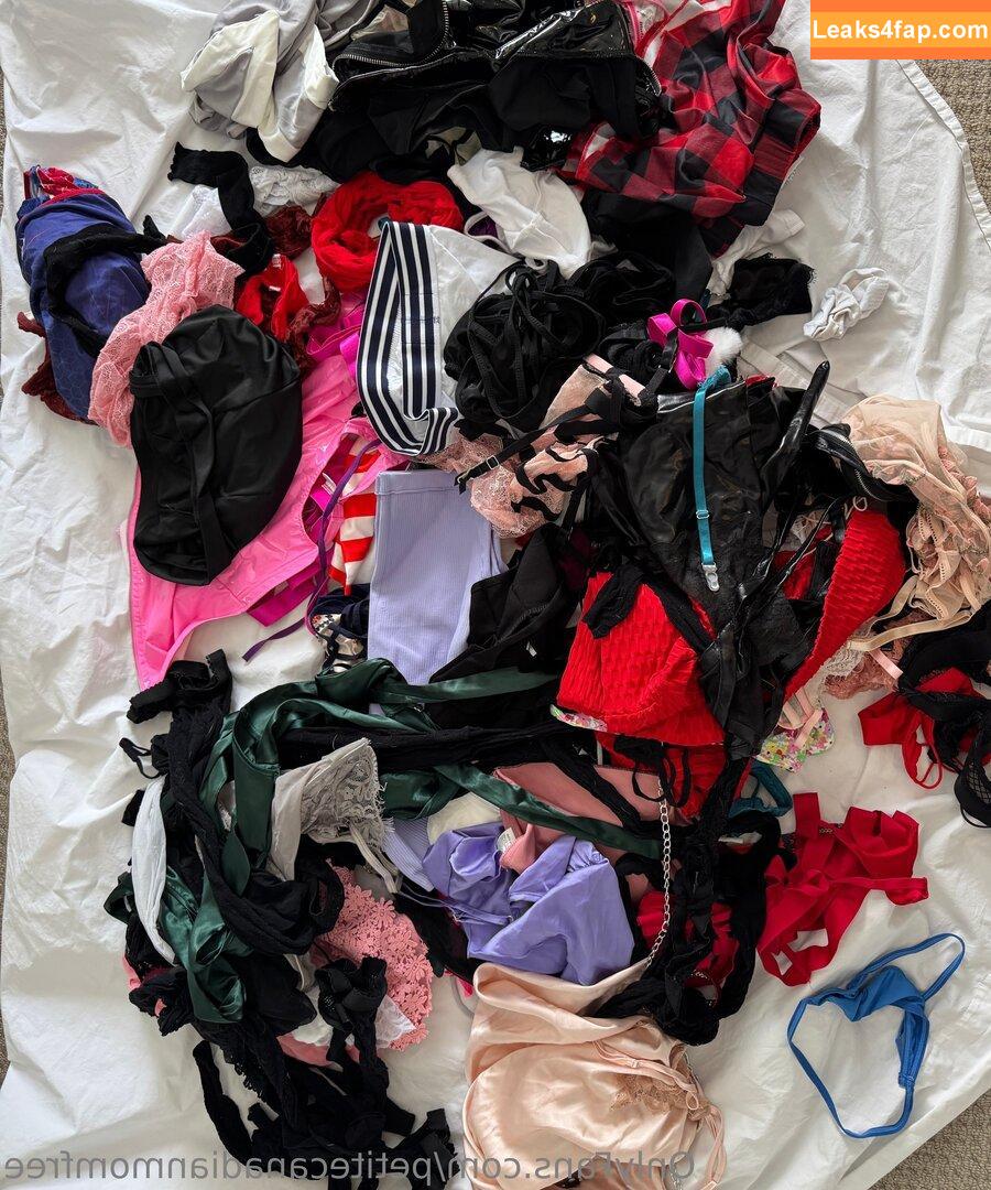 petitecanadianmomfree / PetiteCanadian.MILF leaked photo photo #0011