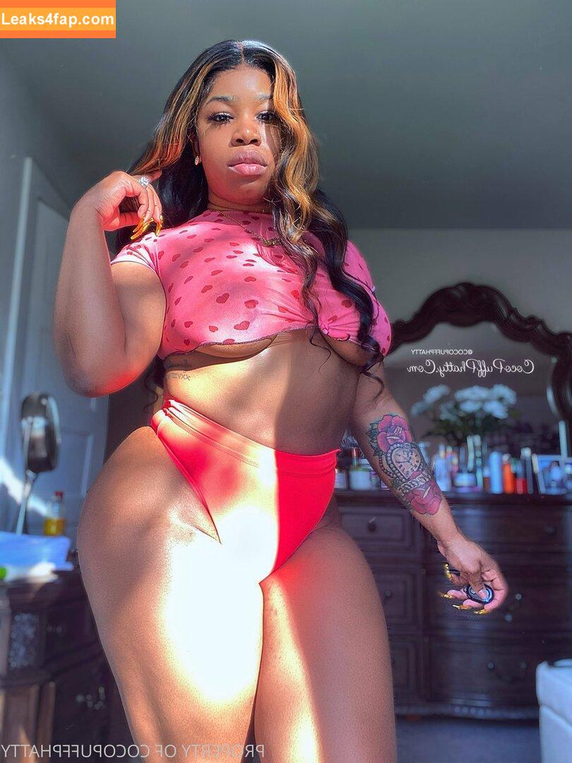 phattgirlcoco / PhattGirlsOfficial leaked photo photo #0023