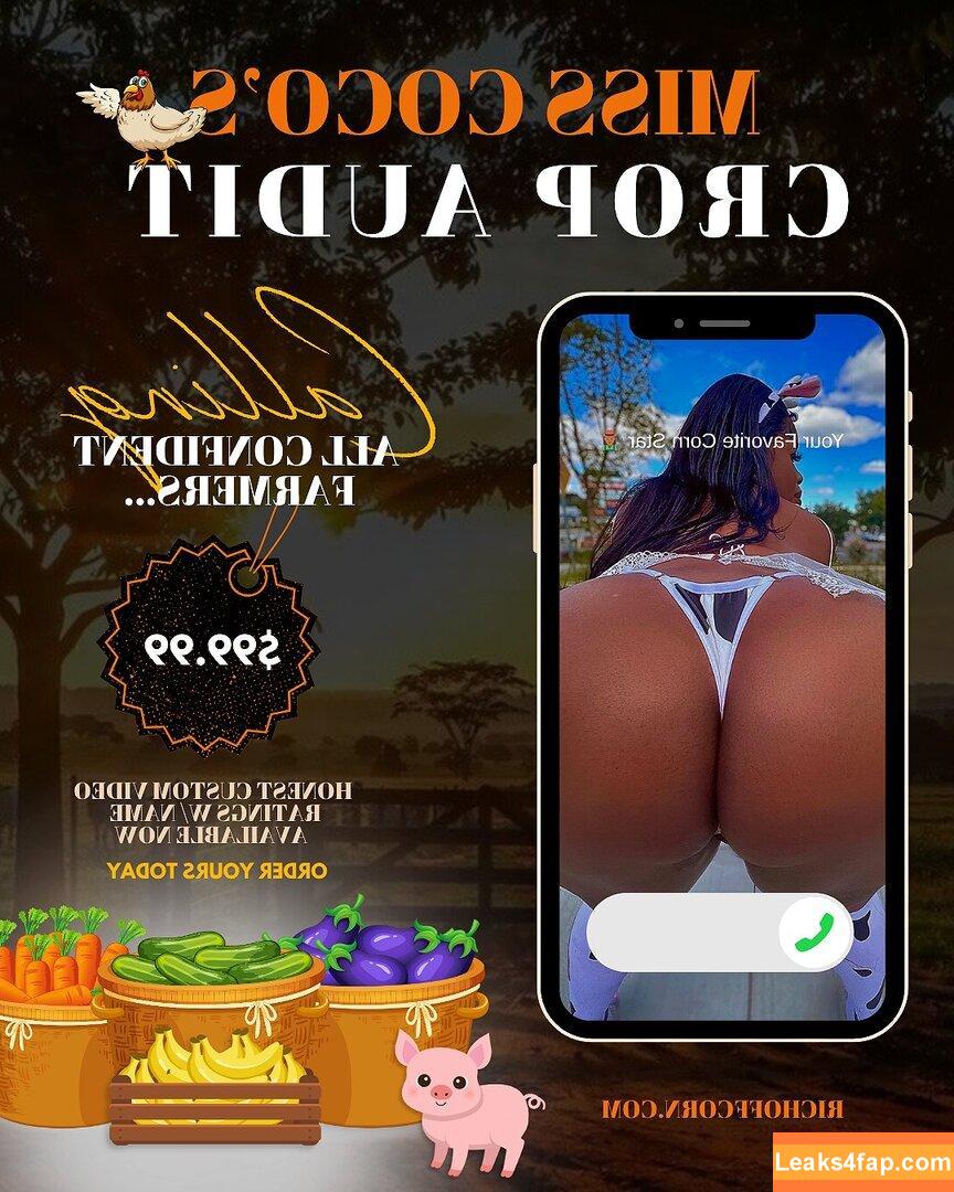 phattgirlcoco / PhattGirlsOfficial leaked photo photo #0148