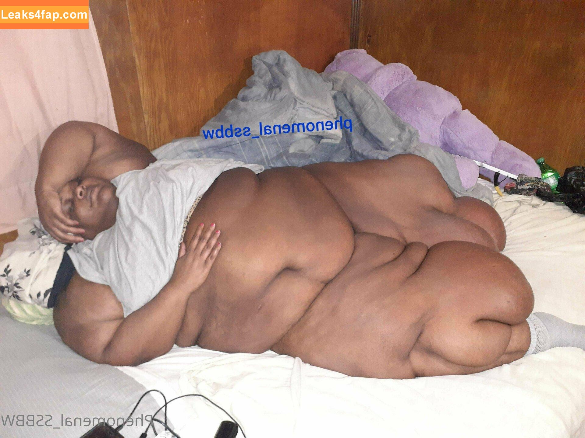 phenomenal_ssbbw / therealbbwlover4real__ leaked photo photo #0008