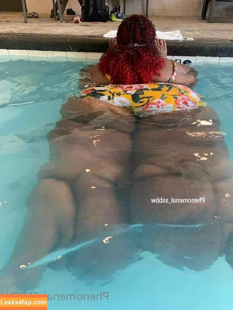 phenomenal_ssbbw / therealbbwlover4real__ leaked photo photo #0036