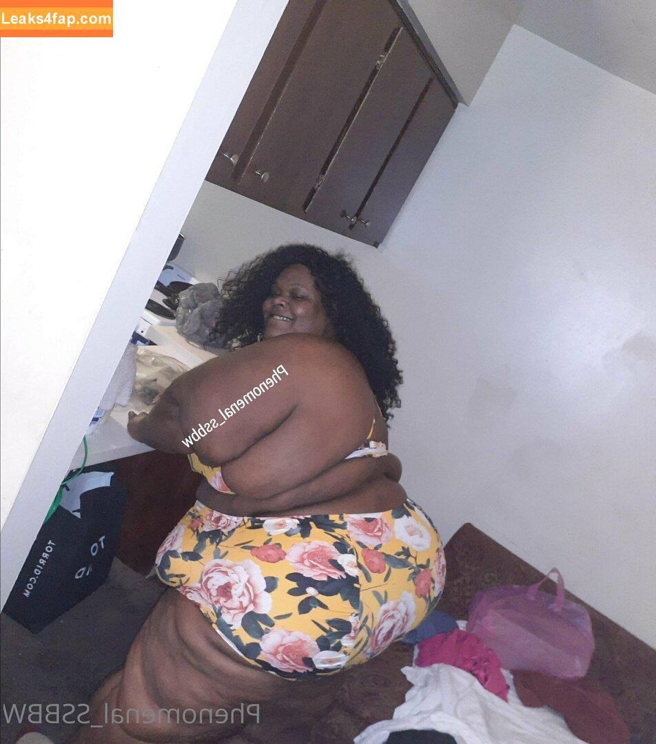 phenomenal_ssbbw / therealbbwlover4real__ leaked photo photo #0047