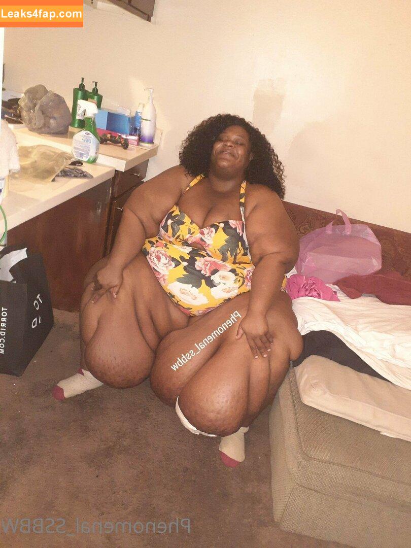 phenomenal_ssbbw / therealbbwlover4real__ leaked photo photo #0048