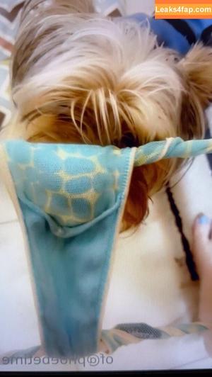 Phoebe Price photo #0326