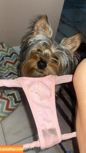 Phoebe Price photo #0327