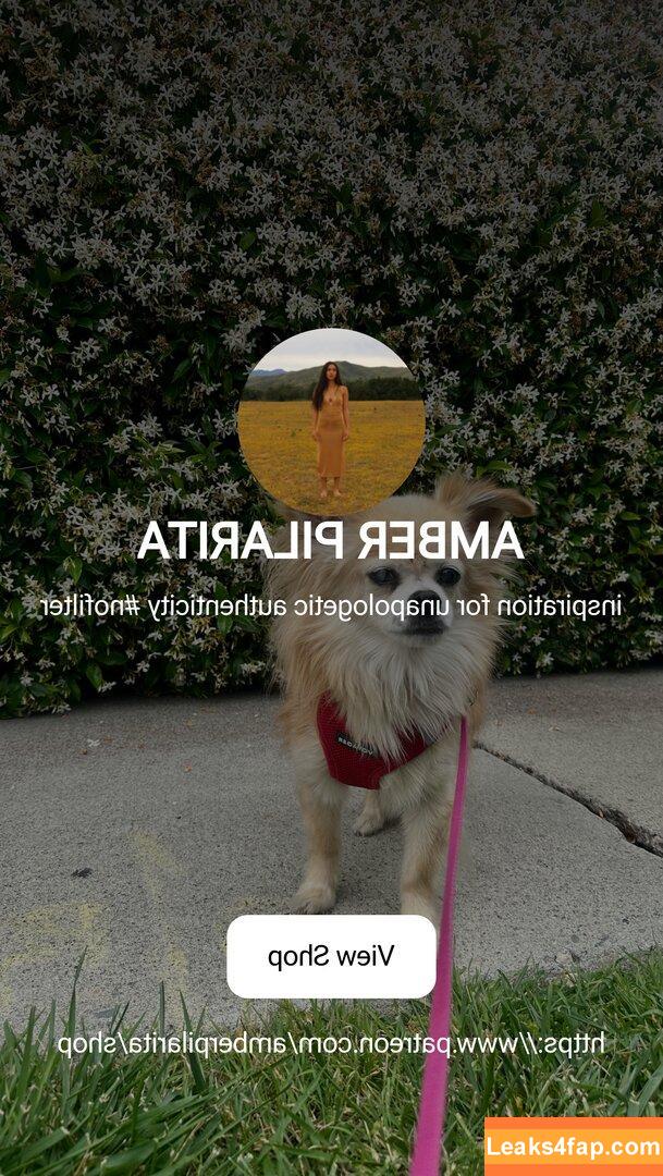 pilarita /  leaked photo photo #0002