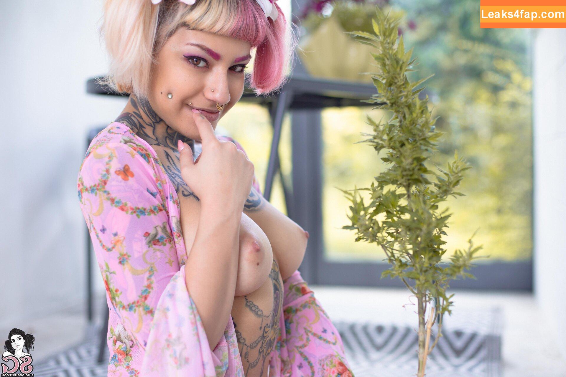 Pink Suicide / _Pink_sg / pinksuicide слитое фото фото #0141