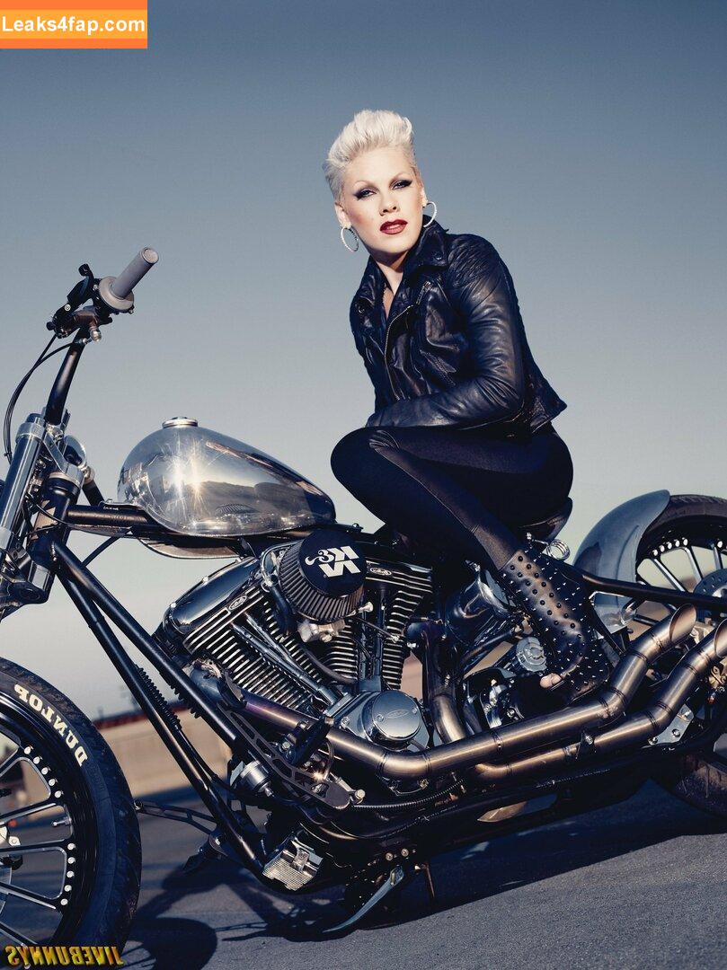 Pink / Alecia Beth Moore / pinksuicide слитое фото фото #0007