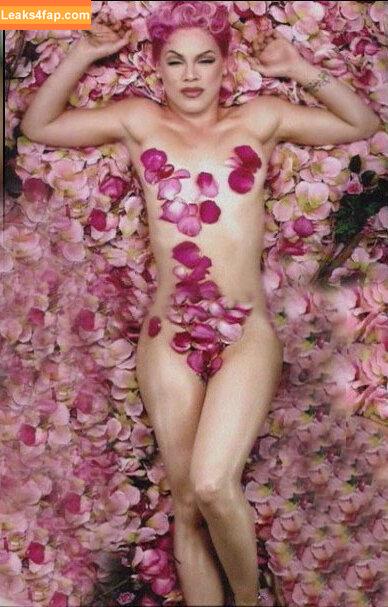 Pink / Alecia Beth Moore / pinksuicide слитое фото фото #0077